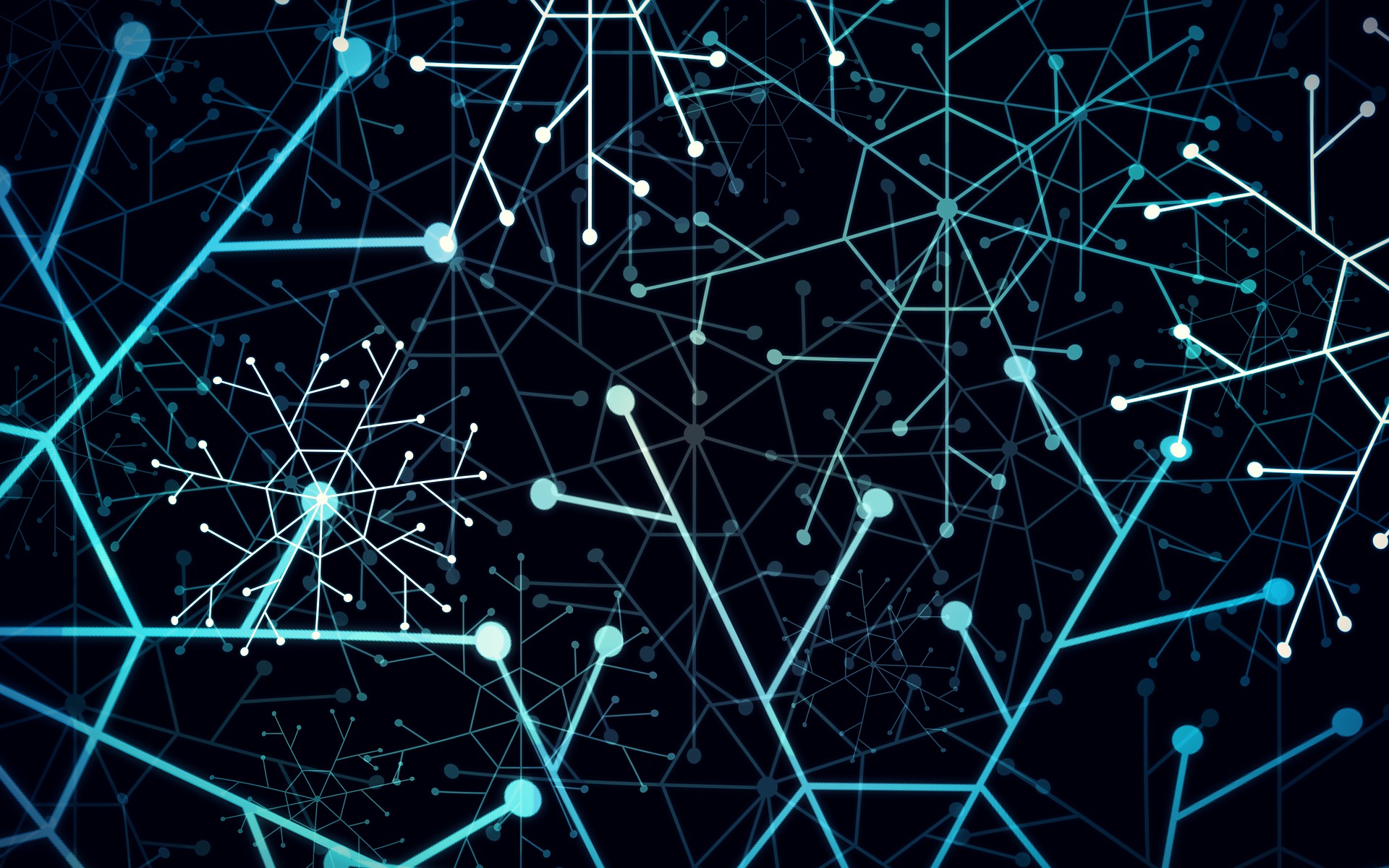 Network